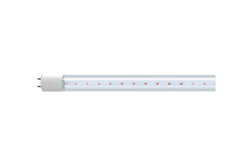 Купить Лампа светодиодная PLED T8-1200 PPG AGRO 16Вт G13 CL для растений 5025912 556003 фото №2